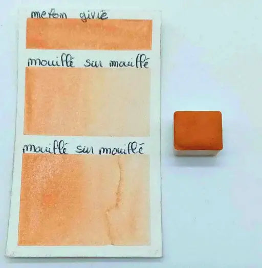 Melon Givré Cœur d'aquarelles acheter aquarelle artisanale