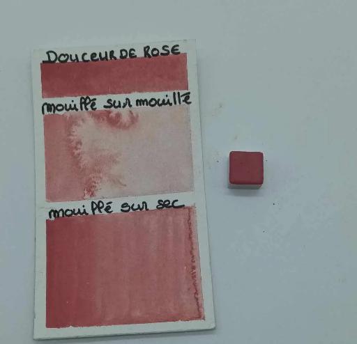 Douceur de rose Cœur d'aquarelles