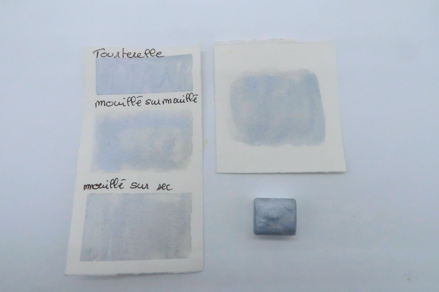 Tourterelle Cœur d'aquarelles